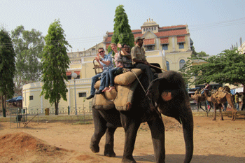 elephant people riding an elephant at Mysore Palace in India