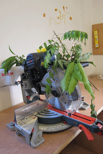 flowers_on_miter_saw flowers on Bosch miter saw in India during Ugadi new year festival