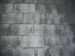 How to Get Rid of Efflorescence on Concrete Countertops and Floors: part 1