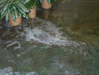 Example of Repairing Efflorescence in a Concrete Floor – Efflorescence part 3: